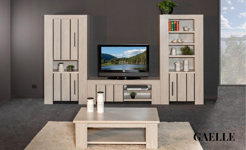 Composition TV Gaëlle