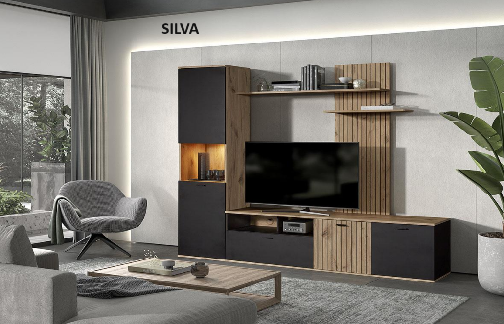 Composition TV SILVA